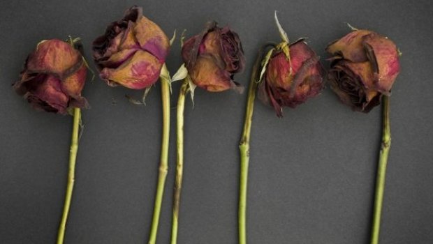 Sydney Nova Scotia Funeral Homes